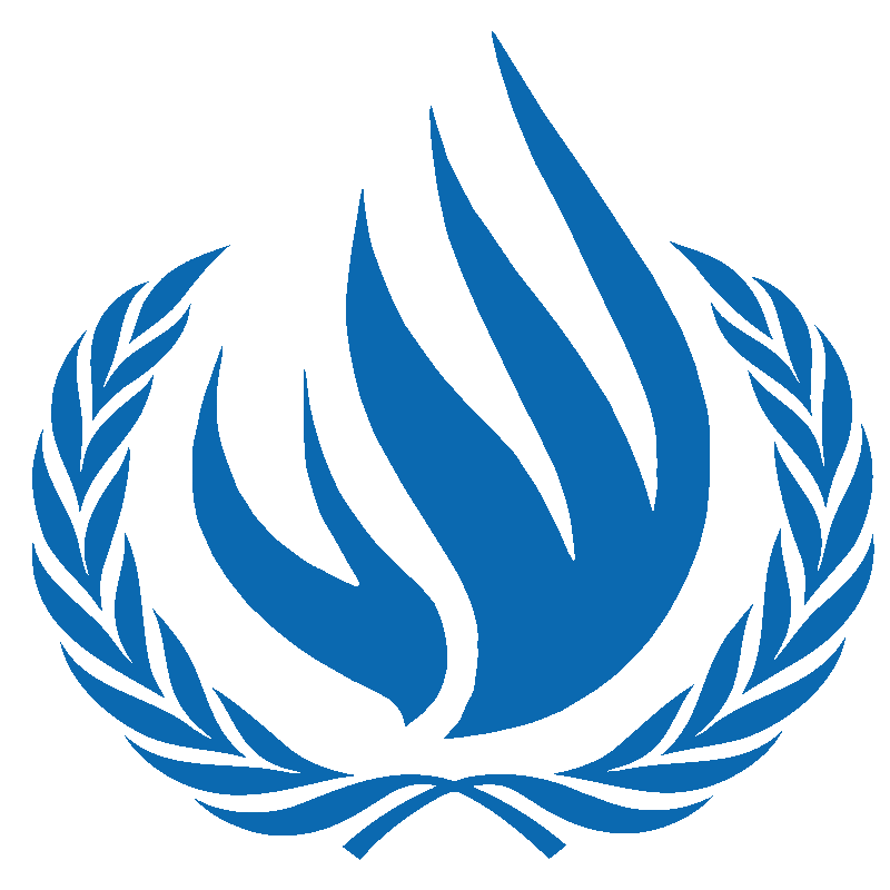 United Nations Human Rights Council