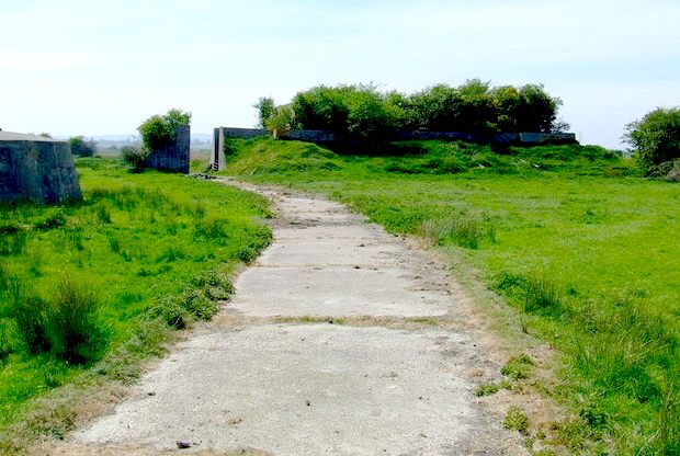 Concrete tracks criss-cross the Pevensey Marshes