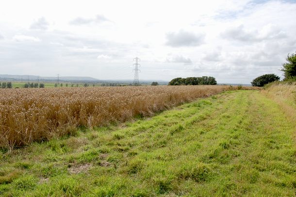 Public footpath from Wartling to Herstmonceux