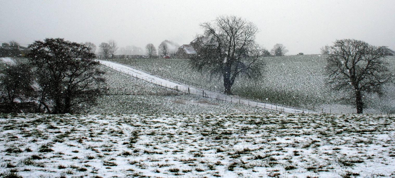 Winter snow in Wealden land of discontent and corrupt civil servants. Copyright Photograph  27 February 2018