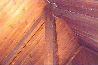 Trusses at the old electriicity generating station in Lime Park