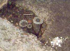Underground electricity cables