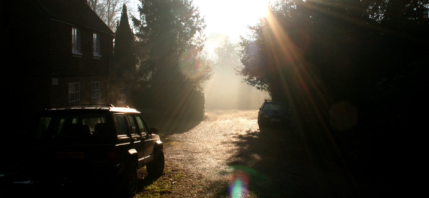 Lime Park morning mist and rays of sunshine January 2017